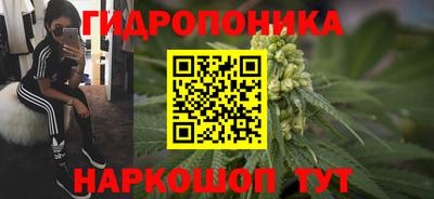метадон Кимры