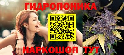 метадон Кимры