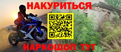 Альфа ПВП Кингисепп